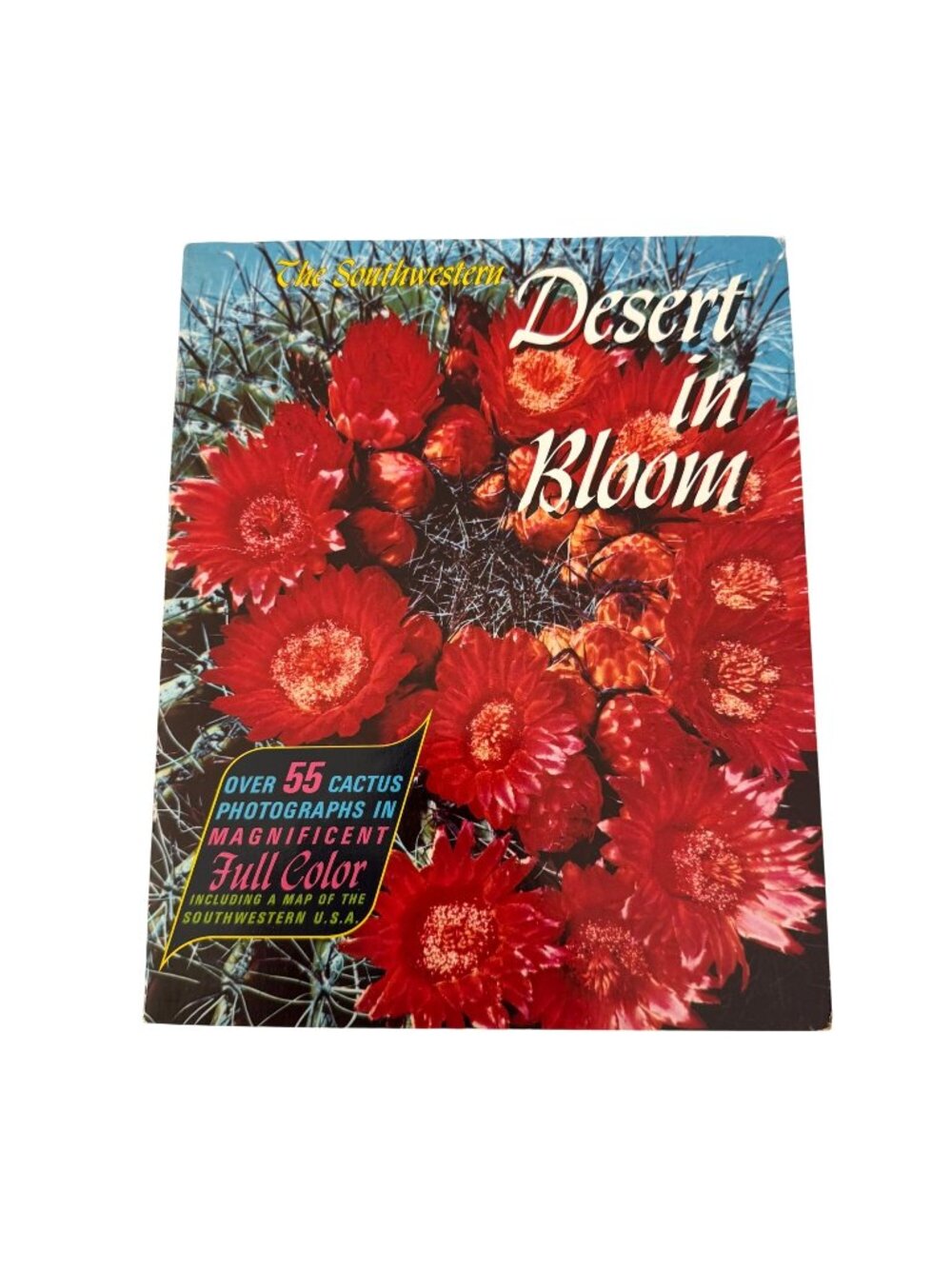 The Southwestern Desert In Bloom Cactus Guide Full Color Photographs Booklet VTG